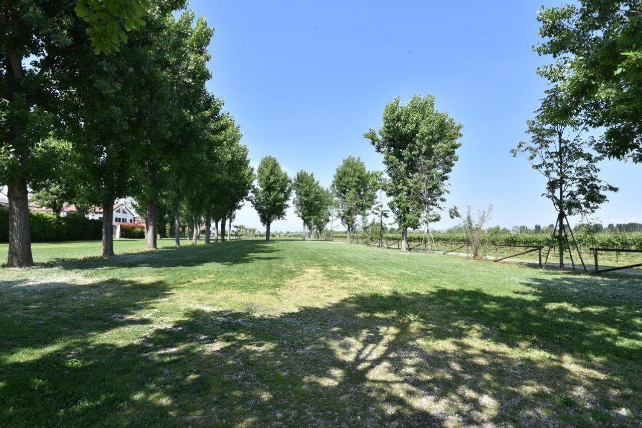 לינה וארוחת בוקר Campo San Martino Tenuta Le Risare מראה חיצוני תמונה